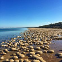 Lake Clifton Thrombolites