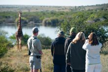 On a Bush Walk at Kwandwe