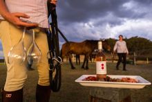 Spoil yourself with a horse ride and Canberra district wines at Burnelee Excursions on Horseback.