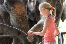Elephant Sanctuary, Elephant Hills,  Khao Sok National Park, Thailand