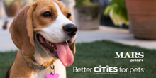 Franklin, Tennessee is the pilot city for Mars Petcare's BETTER CITIES FOR PETS Initiative.