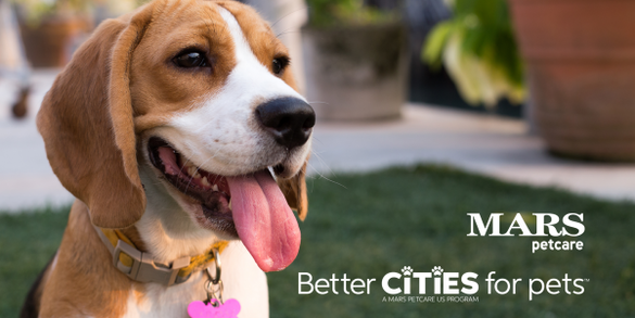 Franklin, Tennessee is the pilot city for Mars Petcare's BETTER CITIES FOR PETS Initiative.