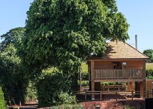 The Apple Treehouse