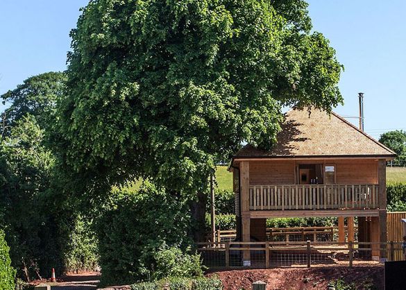 The Apple Treehouse