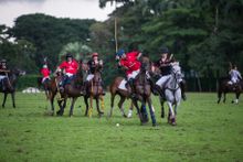 Singapore National Polo Team