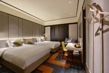 Aerotel_M Room
