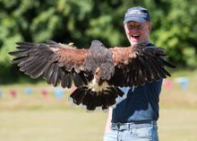 Chris Evans has some Falconry Fun at Chewton Glen