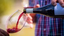 Sample the wines of Tasmania's East Coast with the Great Eastern Wine Weekend