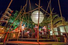 Darwin Festival Darwin Festival