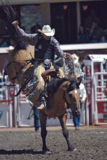 Calgary Stampede, Alberta