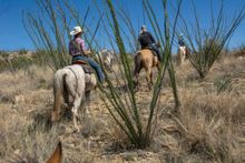 Trail ride, Rancho de la Osa, Arizona