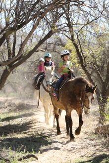 Children's trail ride, Tanque Verde Resort Ranch, Arizona