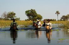 Swimming the horses, Okavango Delta, Botswana