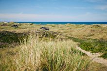 Skagen