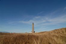 Skagen Graa Fyr