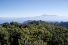 Alto de Garajonay – Garajonay National Park