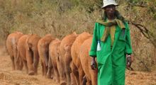 DSWT orphans and keeper