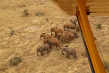 Aerial surveillance