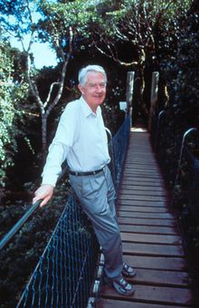 Visionary Peter O’Reilly situated on the brand new Tree Top Walk 