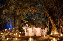 Waterfall Dinner