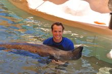 New Seal Swim program at Miami Seaquarium