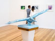 Cradle Mountain Wilderness Gallery_must credit Barry Smith exhibition Twin Flames of Perfection
