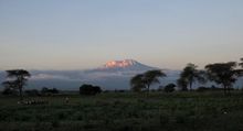 Mt Kilimanjaro