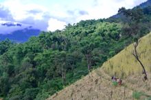Trekking in Burma
