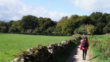 Pilgrims on the Camino de Santiago in Galicia