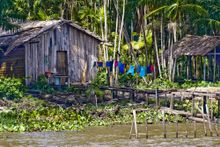 Ramblers Walking Holidays: An Amazon Adventure