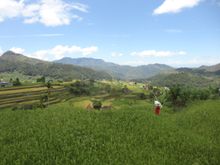 Banaue, Philippines - trekking through Mayoyoa