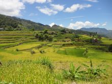 Banaue, Philippines - trekking through Mayoyoa