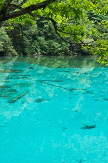 Jiuzaigou National Park, China - Rize Valley