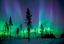 Northern Lights in The Yukon