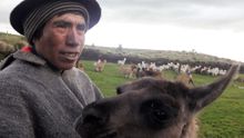 San Rafael, Ecuador - farmer with alpaca in San Rafael