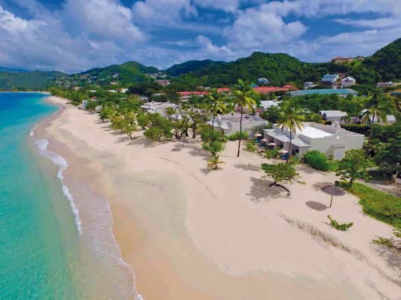 An unusual Chelsea Flower Show winner, but with 13 gold medals Grenada is getting something right for the residents of SW3