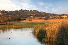 The Lumine Golf & Beach Club - Lakes