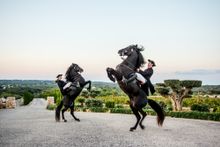 Cugo Gran horse show 