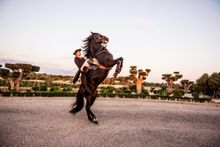 Horse show Cugo Gran Hotel Menorca 