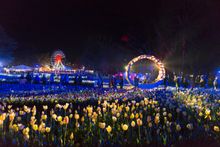 Floriade NightFest returns over two weekends to captivate audiences. 