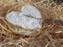 Neufchatel cheese