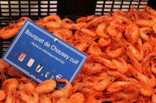 Prawns in Granville