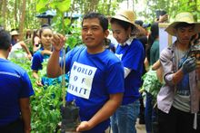 Tree planting activity