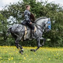 medieval jousting tournament