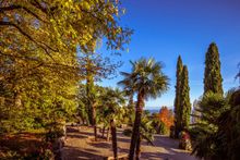 Mainau Island Gardens