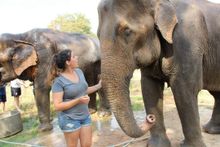 Volunteering with elephants in Thailand