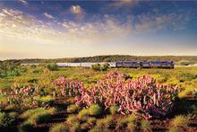 The Indian Pacific