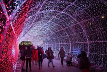 Tunnel of Light, Norwich, Norfolk, UK