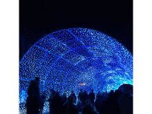 The Tunnel of Light, Norwich, Norfolk, UK