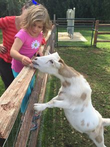 Whatcom Farm Tour